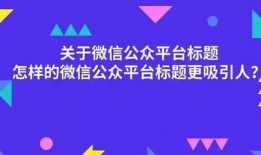 校园娱乐爆料怎么写标题,揭秘校园热点事件背后的故事
